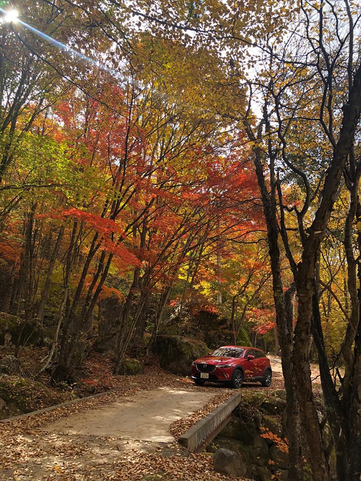 紅葉がきれいな秋のキャンプ場 瑞牆山 みずがき山キャンプ 瑞牆山キャンプリゾート